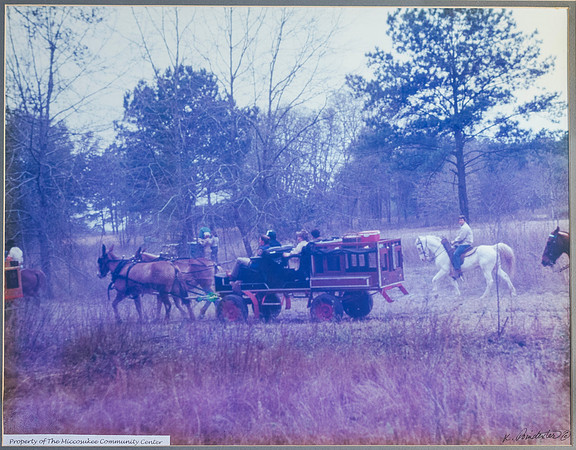 Field Trials - An Annual Event on Local Plantations.jpg