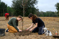 January 24, 2026 - Arbor Day