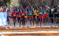 WXC Races and Competitors