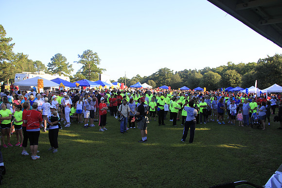 Heartwalk 2013