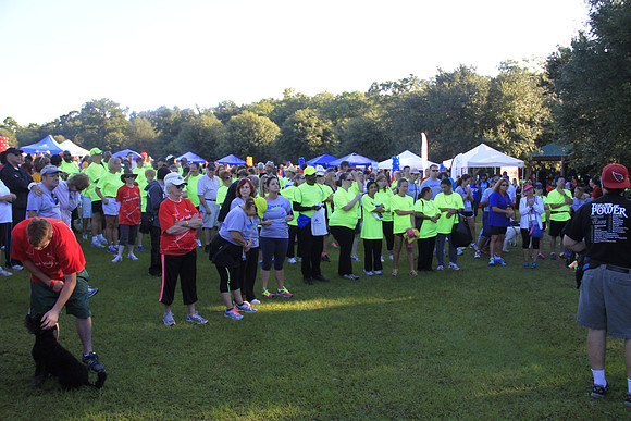 Heartwalk 2013