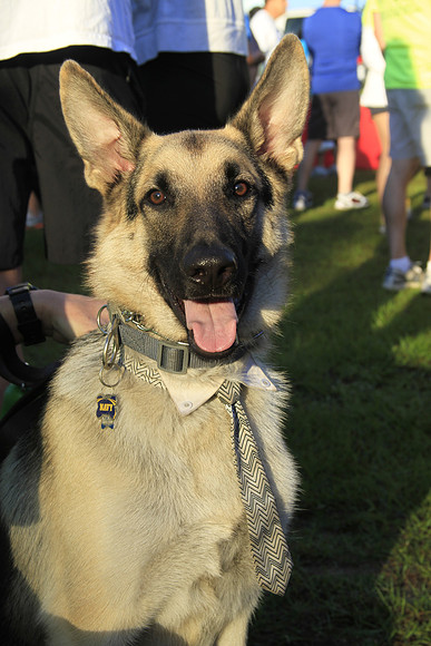 Heartwalk 2013
