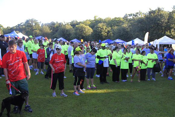 Heartwalk 2013