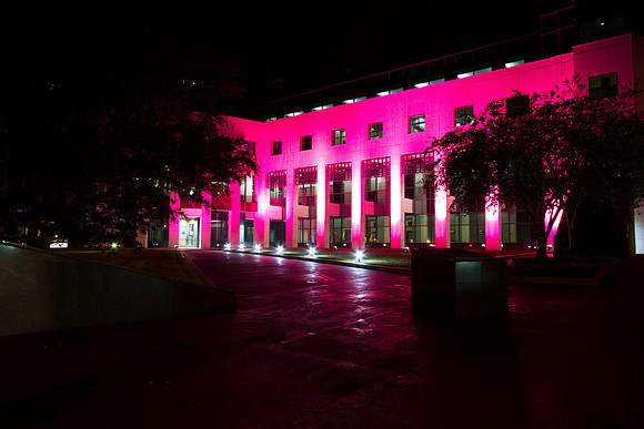 Leon County Courthouse Goes Pink