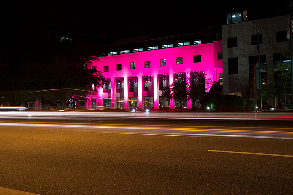 Leon County Courthouse Goes Pink