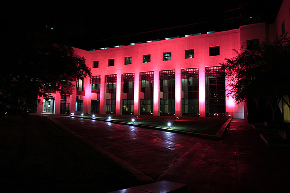 Leon County Courthouse Goes Pink