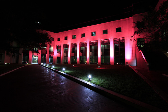 Leon County Courthouse Goes Pink