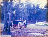 Home from the Hunt - Plantation Life in Miccosukee.jpg