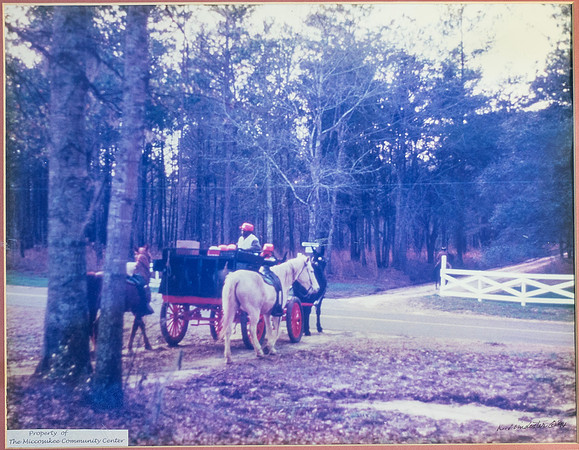 Home from the Hunt - Plantation Life in Miccosukee.jpg
